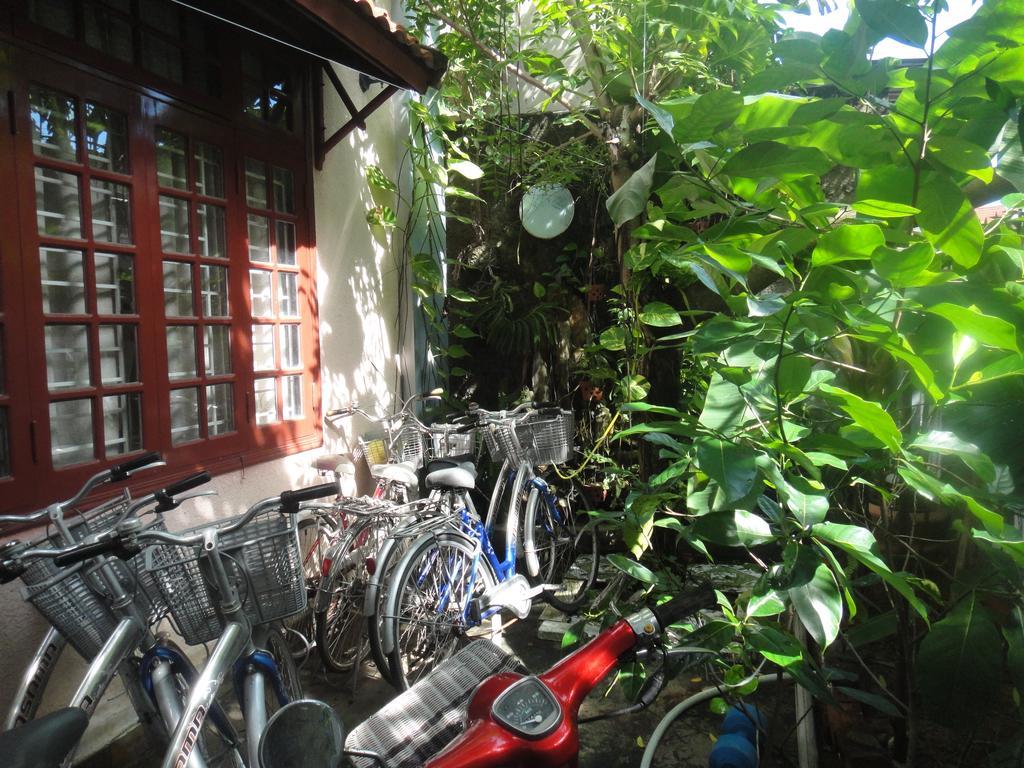 Homestay Countryside 会安 外观 照片