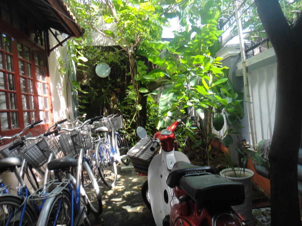 Homestay Countryside 会安 外观 照片