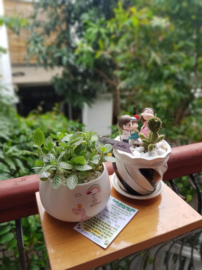 Homestay Countryside 会安 外观 照片